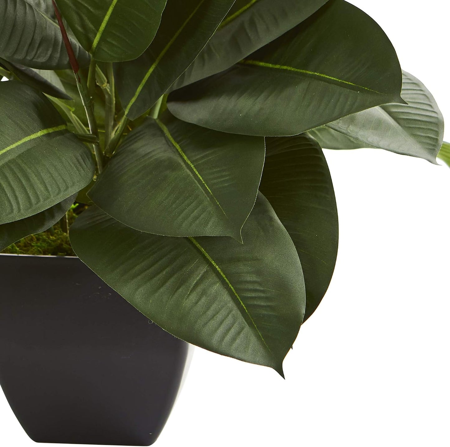 Oak Ficus Artificial Plant