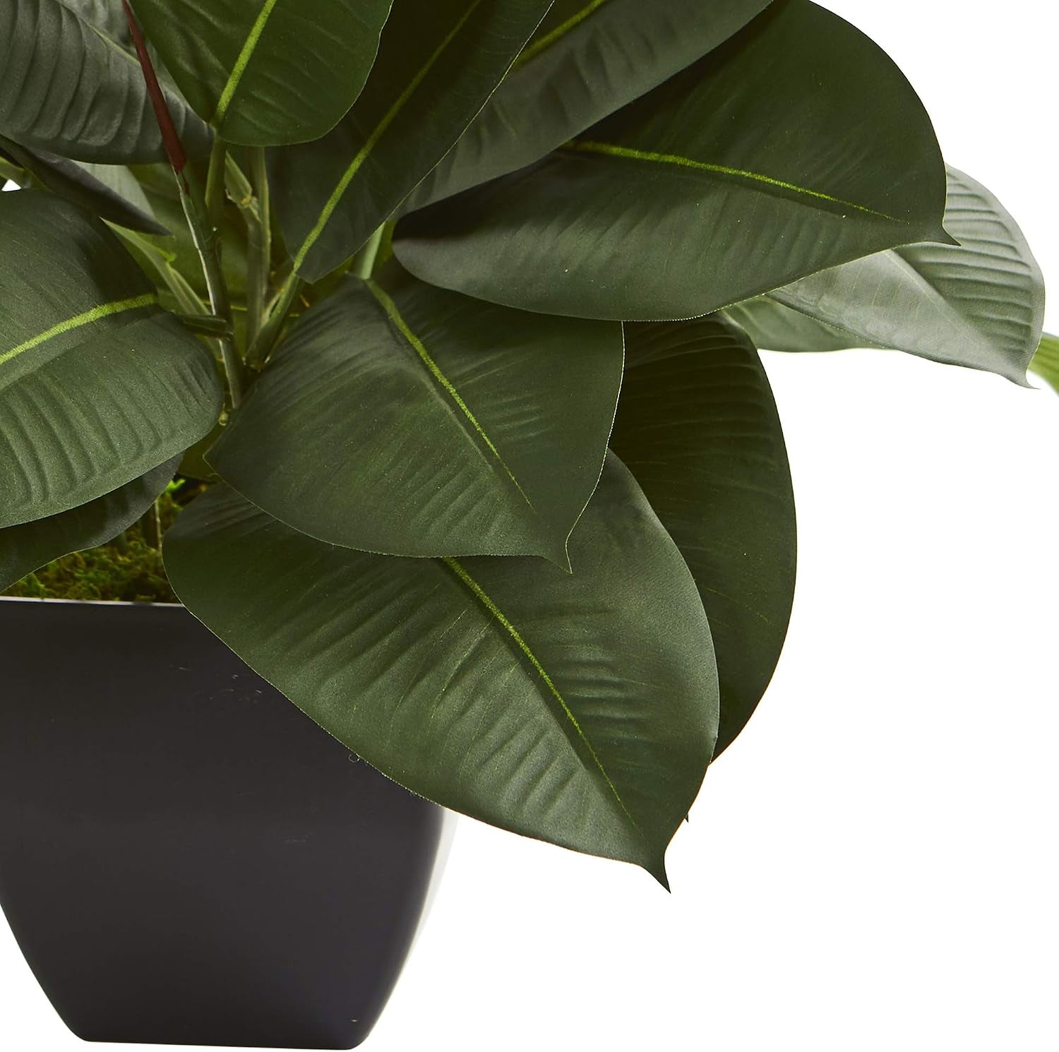 Oak Ficus Artificial Plant