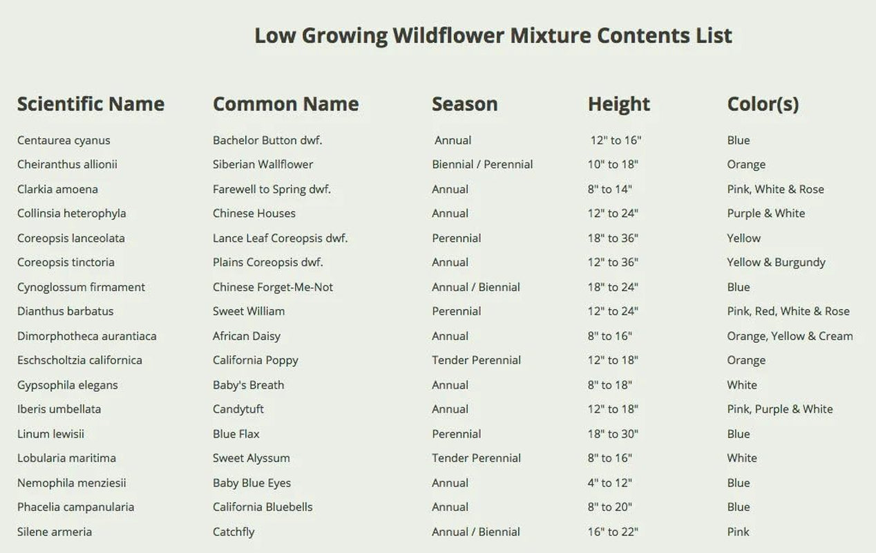 Wildflower Seeds Low Growing 1 Ounce Heirloom Bulk Pack