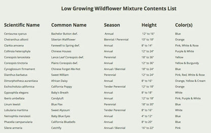 Wildflower Seeds Low Growing 1 Ounce Heirloom Bulk Pack