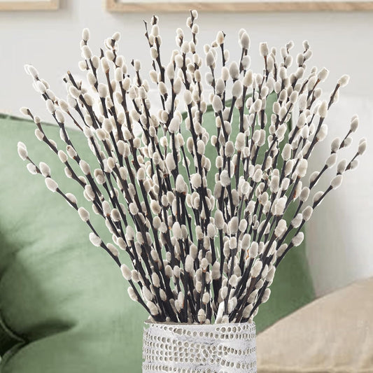Natural Dried Pussy Willow Branches - 30PCS Willow Twigs for Indoor Decor | Easter Spring Arrangements, Wreath Making, and Farmhouse Home Centerpiece