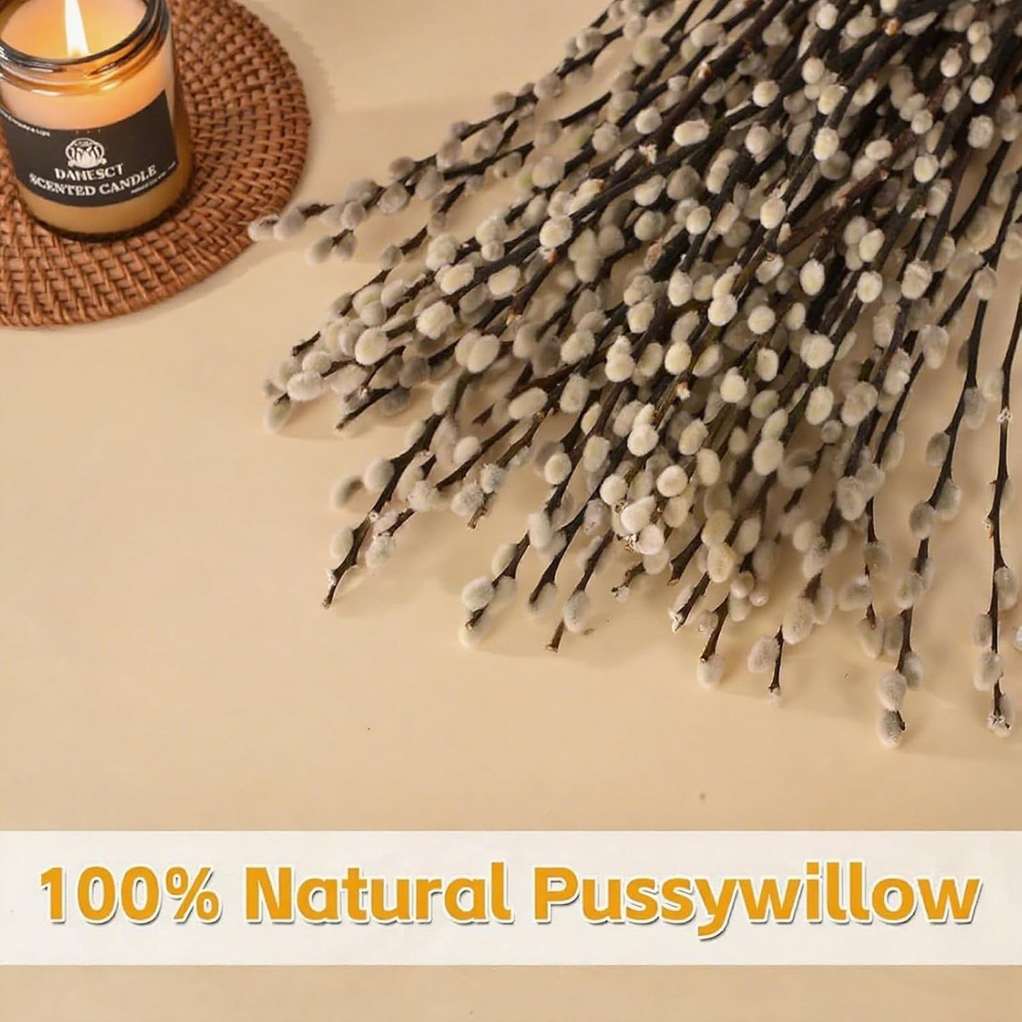 Natural Dried Pussy Willow Branches - 30PCS Willow Twigs for Indoor Decor | Easter Spring Arrangements, Wreath Making, and Farmhouse Home Centerpiece