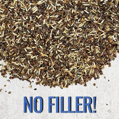 Wildflower Seeds Low Growing 1 Ounce Heirloom Bulk Pack