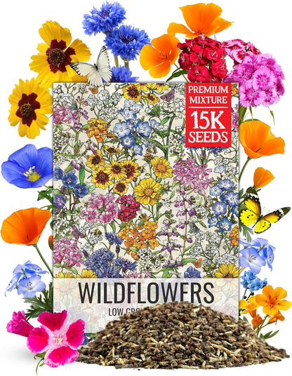 Wildflower Seeds Low Growing 1 Ounce Heirloom Bulk Pack