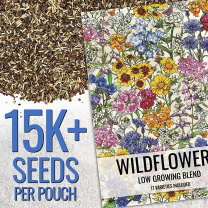Wildflower Seeds Low Growing 1 Ounce Heirloom Bulk Pack